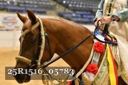 25R1516_05783 thumbnail