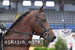 25R1516_05785 thumbnail
