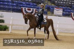 25R1516_05801 thumbnail
