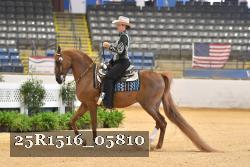 25R1516_05810 thumbnail