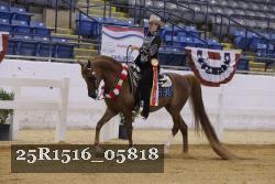 25R1516_05818 thumbnail