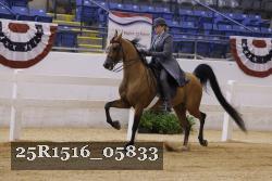 25R1516_05833 thumbnail