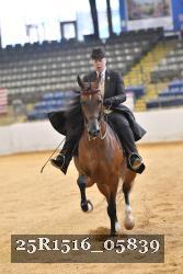 25R1516_05839 thumbnail