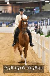 25R1516_05841 thumbnail