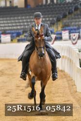25R1516_05842 thumbnail