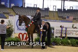 25R1516_05845 thumbnail