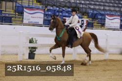 25R1516_05848 thumbnail