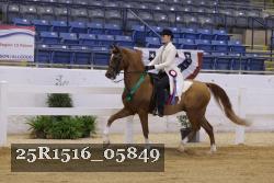 25R1516_05849 thumbnail