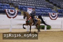 25R1516_05850 thumbnail