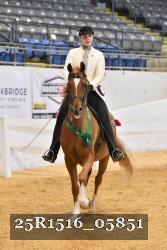 25R1516_05851 thumbnail
