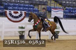 25R1516_05852 thumbnail