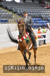 25R1516_05856 thumbnail