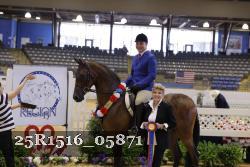 25R1516_05871 thumbnail