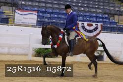 25R1516_05872 thumbnail