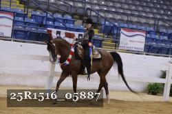 25R1516_05887 thumbnail