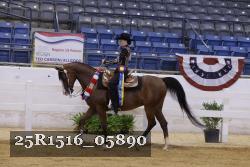 25R1516_05890 thumbnail