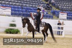 25R1516_00456 thumbnail