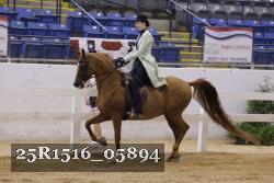 25R1516_05894 thumbnail