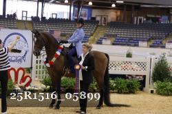 25R1516_05899 thumbnail