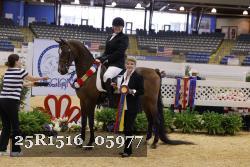 25R1516_05977 thumbnail