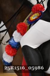 25R1516_05986 thumbnail