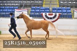 25R1516_05908 thumbnail