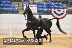 25R1516_05910 thumbnail