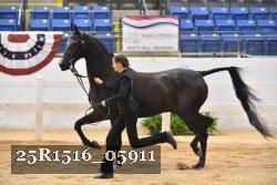 25R1516_05911 thumbnail