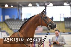 25R1516_05913 thumbnail