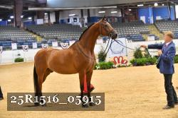 25R1516_05915 thumbnail
