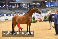 25R1516_05916 thumbnail
