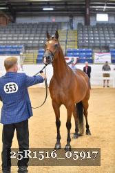 25R1516_05917 thumbnail