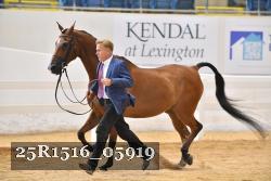 25R1516_05919 thumbnail