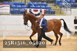 25R1516_05920 thumbnail