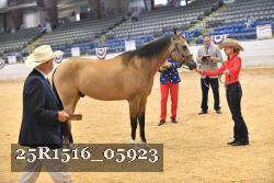 25R1516_05923 thumbnail