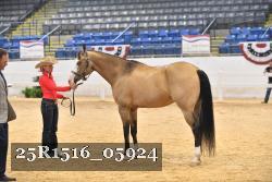 25R1516_05924 thumbnail