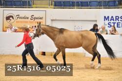 25R1516_05925 thumbnail