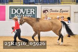25R1516_05926 thumbnail