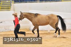 25R1516_05927 thumbnail