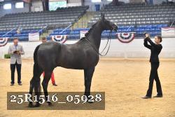 25R1516_05928 thumbnail