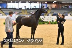 25R1516_05930 thumbnail