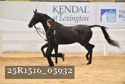 25R1516_05932 thumbnail