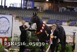 25R1516_05939 thumbnail