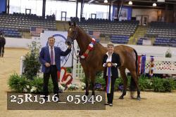 25R1516_05940 thumbnail