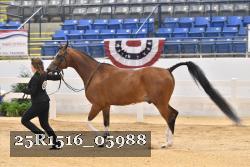 25R1516_05988 thumbnail