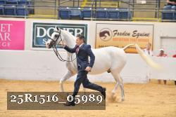 25R1516_05989 thumbnail