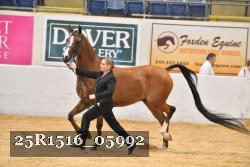 25R1516_05992 thumbnail