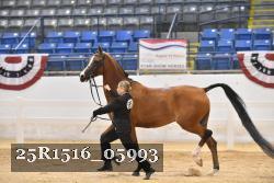 25R1516_05993 thumbnail
