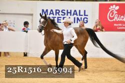 25R1516_05994 thumbnail