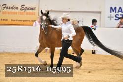 25R1516_05995 thumbnail
